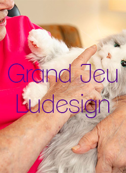 GRAND JEU LUDESIGN - Jusqu'au 4 avril 2019