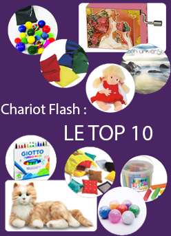 TOP 10 chariot FLASH ludesign grontologie ehpad chat robot poupe empathie