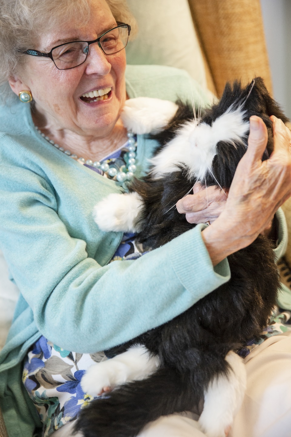 Chat robot peluche interactif - pour personnes âgées alzheimer ehpad