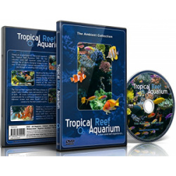 dvd-relaxent-tropical-reef-aquarium-personne-age-ludesign