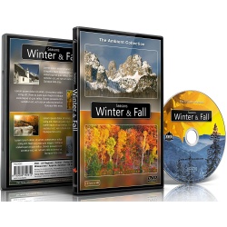 dvd-sensoriel-saisons-automne-hiver-jeux-geronto-jeux-gerontologie-jeu-personnes-agees-alzheimer-ambient-collection-ludesign-dvd007