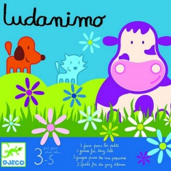 ludanimo-jeu-multi-actvites-jeu-association-djeco-ludesign-DJO8420-3