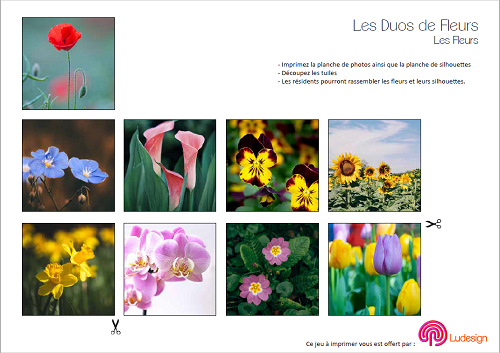 Duos de fleurs - Jeu Ludesign à imprimer