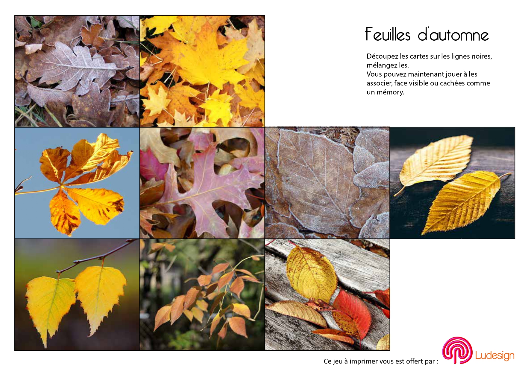 feuilles dautomne1 page 0001